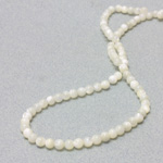 Shell Bead - Smooth Round 05MM WHITE TROCHUS