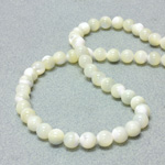 Shell Bead - Smooth Round 08MM WHITE TROCHUS