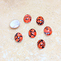 Glass Medium Dome Lampwork Cabochon - Oval 08x6MM CORAL MATRIX (03298)