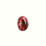 Glass Medium Dome Lampwork Cabochon - Oval 14x10MM RED SWIRL (02958)