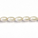 Czech Glass Pearl Bead - Oval 06x4MM FRESHWATER PEARL