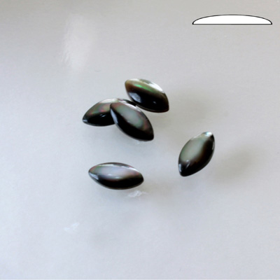 Shell Flat Back Cabochon - Navette 10x5MM BLACK TAHITI PEARL