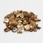 Shell Bead - Baroque DYED BROWN MOP