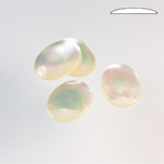 Shell Flat Back Cabochon - Oval 16x12MM WHITE MOP