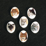 German Plastic Porcelain Decal Painting - Cats Oval 18x13MM ON CHALKWHITE BASE