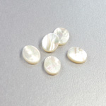 Shell Flat Back Flat Top Straight Side Stone - Oval 10x8MM WHITE MOP
