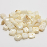 Shell Bead - Baroque WHITE TROCHUS