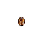 Glass Flat Back Foiled Rauten Rose - Oval 08x6MM SMOKE TOPAZ