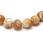Round Smooth Shell Beads