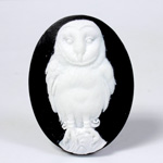 Plastic Cameo - Owl , Barn Owl, Oval 40x30MM WHITE ON BLACK
