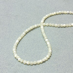 Shell Bead - Smooth Round 04MM WHITE TROCHUS