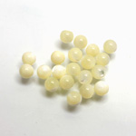 Shell No-Hole Ball 5MM WHITE TROCHUS