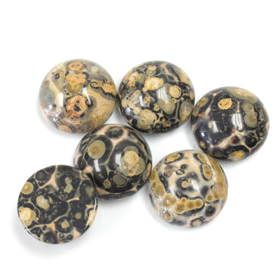 Gemstone Cabochon - Round 12MM LEOPARD SKIN AGATE