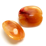 Plastic  Bead - Mixed Color Smooth Turtle Shell 27x23MM CORNELIAN AGATE
