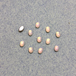 German Glass Medium Dome Foiled Cabochon - Oval 05x3MM WHITE PINFIRE OPAL
