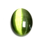 Fiber-Optic Cabochon - Oval 30x22MM CAT'S EYE OLIVE