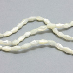 Shell Bead - Smooth Bicone 08x4MM WHITE TROCHUS