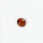 Plastic  Bead - Mixed Color Smooth Round 10MM TOKYO TORTOISE