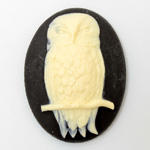 Plastic Cameo - Owl on a Branch Oval 40x30MM IVORY on BLACK