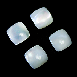 Shellstone Flat Back Buff Top Straight Side Stone - Square Antique 12x12MM WHITE TROCHUS