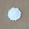 Plastic Carved Flower - Cluster Round 25MM MATTE WHITE