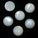 Shellstone Cabochon - Round 12MM WHITE MOP
