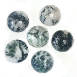 Gemstone Cabochon - Round 12MM TREE AGATE