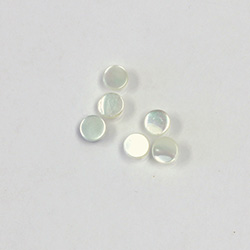Shell Flat Back Flat Top Straight Side Stone - Round 05MM WHITE TROCHUS