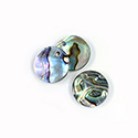 Shell Pendant - Smooth Flat Round 15MM ABALONE