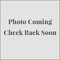 Preciosa Crystal Bead Bellatrix - Rondelle Spacer 12MM VELVET