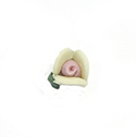 Ceramic Flat Back Flower - Rose 08MM YELLOW with PINK