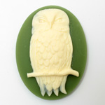 Plastic Cameo - Owl on a Branch Oval 40x30MM IVORY on OLIVE GREEN