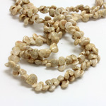 Shell Bead - Irregular Cut Weave UMBONIUM SHELL