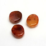 Plastic  Bead - Mixed Color Smooth Flat Abstract 15MM CORNELIAN AGATE