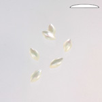 Shell Flat Back Cabochon - Navette 08x4MM WHITE MOP