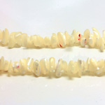 Shell Bead - Chip Baroque WHITE TROCHUS