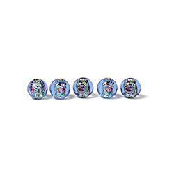 Czech Glass Lampwork Bead - Smooth Round 06MM Flower ON SAPPHIRE with  SILVER FOIL