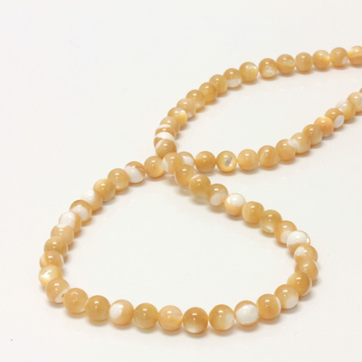 Shell Bead - Smooth Round 06MM BROWN TROCHUS