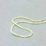 Shell Bead - Smooth Round 02.5MM WHITE TROCHUS