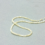 Shell Bead - Smooth Round 03MM WHITE TROCHUS