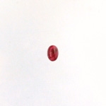 Glass Medium Dome Lampwork Cabochon - Oval 06x4MM SWIRL RED (02958)