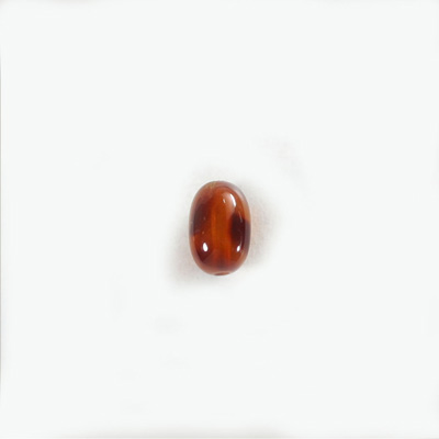 Plastic  Bead - Mixed Color Smooth Oval 12x8MMTOKYO TORTOISE