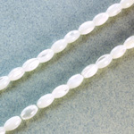Shell Bead - Smooth Oval Rice 08x5MM WHITE TROCHUS