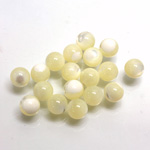 Shell No-Hole Ball 6MM WHITE TROCHUS