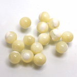 Shell No-Hole Ball 7MM WHITE TROCHUS