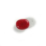 Plastic  Bead - Mixed Color Smooth Flat Bean 14x11MM RED CORAL MATRIX