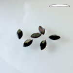 Shell Flat Back Cabochon - Navette 08x4MM BLACK TAHITI PEARL