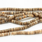 Shell Bead - Heishi Large BOLUTA SHELL