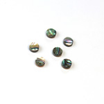 Shell Flat Back Flat Top Straight Side Stone - Round 05MM ABALONE